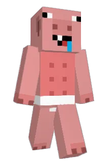 TimmGG Minecraft avatar full body