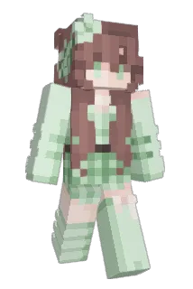 TimmyPro500 Minecraft avatar full body