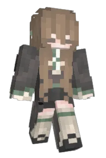 TimmyTimChalamet Minecraft avatar full body