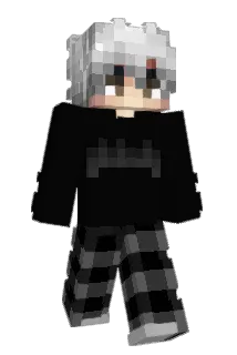 Timmyyyyyyyyyy Minecraft avatar full body