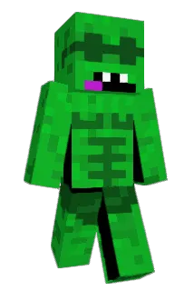 Timo_Turtle Minecraft avatar full body
