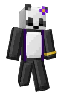 Timothe434 Minecraft avatar full body