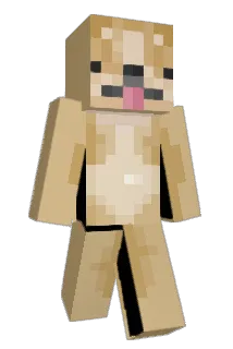 TimstarrCraft Minecraft avatar full body
