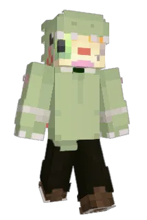 Timvideo326 Minecraft avatar full body