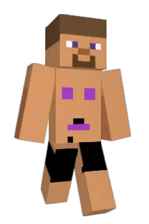 Timzo1201 Minecraft avatar full body