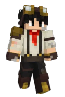 TinFoilHat___ Minecraft avatar full body