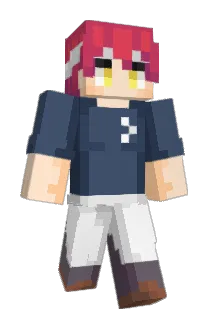 TinFoilSock Minecraft avatar full body