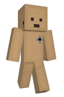 TinPillar Minecraft avatar full body