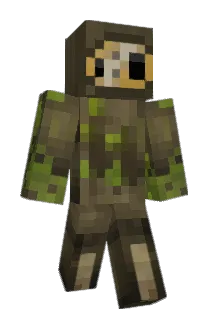 TinQk Minecraft avatar full body