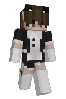Tin_Basher Minecraft avatar full body