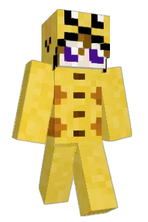 Tine27603 Minecraft avatar full body