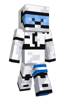 TinedCan Minecraft avatar full body