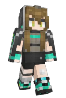 TinfoilF Minecraft avatar full body