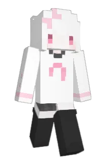 Ting1209 Minecraft avatar full body