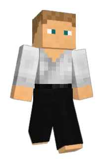 TinkererZen Minecraft avatar full body