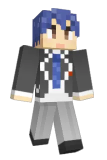 Tinpable Minecraft avatar full body