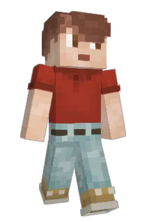 Tinturtle11 Minecraft avatar full body