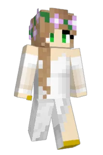Tiny2029 Minecraft avatar full body