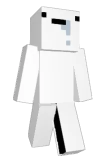 Tiny2432 Minecraft avatar full body