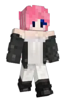 TinyCharmer Minecraft avatar full body