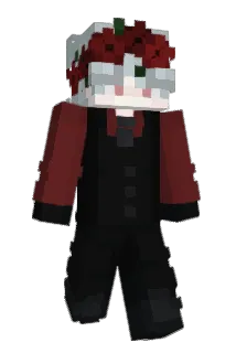 TinyDM Minecraft avatar full body