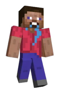 TinyFishNuts Minecraft avatar full body