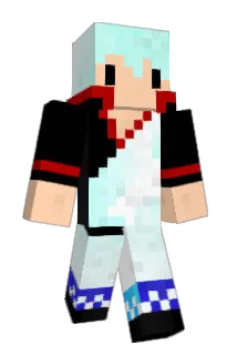TinyJoken Minecraft avatar full body