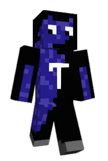 Tinzard Minecraft avatar full body