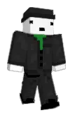 Tioons Minecraft avatar full body