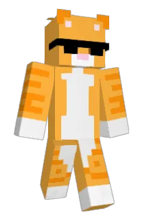 Tipiecat1003 Minecraft avatar full body