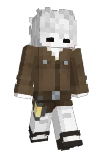 Tique865 Minecraft avatar full body