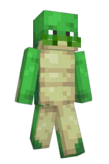 Tirdul Minecraft avatar full body