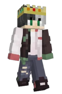 TiredBees_ Minecraft avatar full body