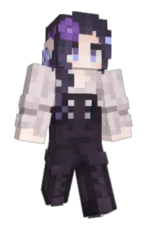 Tireric Minecraft avatar full body