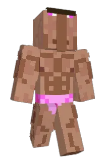 Tireur_2007 Minecraft avatar full body
