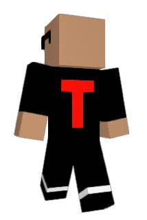 Tissoumax Minecraft avatar full body