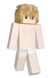 Tisssu Minecraft avatar full body