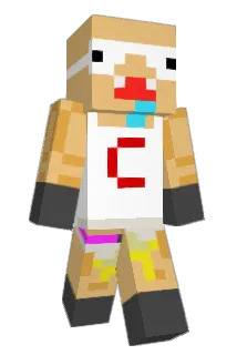 TitiCraft91 Minecraft avatar full body