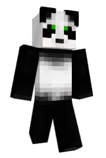 Tiwi1411 Minecraft avatar full body