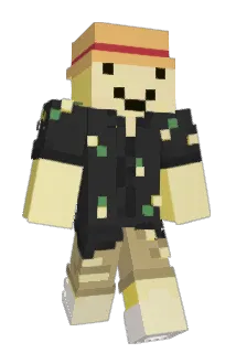 Tizi2612 Minecraft avatar full body