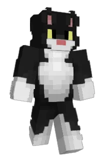 Tkchau Minecraft avatar full body
