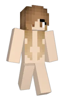 Tkdkrishna Minecraft avatar full body