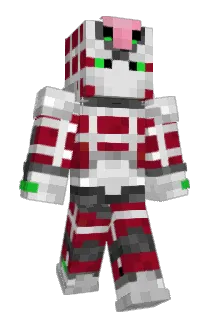TleSr Minecraft avatar full body