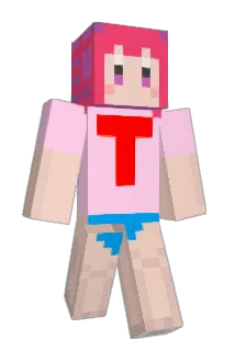 Tle_DJR Minecraft avatar full body