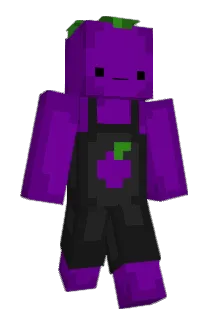Tlij Minecraft avatar full body
