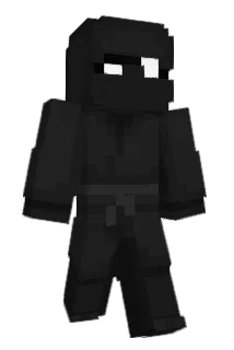 TnTninja19352 Minecraft avatar full body
