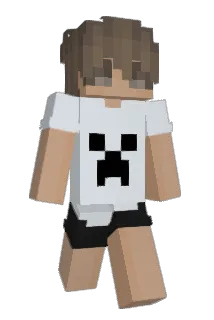 Tnakboy Minecraft avatar full body