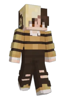 ToBee0rNotToBee Minecraft avatar full body