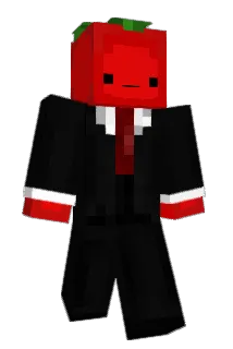 ToMaTo1913 Minecraft avatar full body