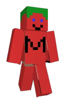 ToMasa0806 Minecraft avatar full body